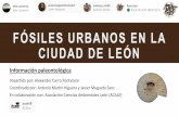 FÓSILES URBANOS EN LA CIUDAD DE LEÓN - Iberozoa