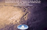 CURSO DE FISIOTERAPIA: INDUCCIÓN MIOFASCIAL II NIVEL
