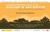 Compatibilidade dos usos social e forestal