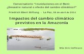 Impactos del cambio climático previstos en la Amazonía