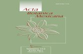Acta Botánica Mexicana - ia800201.us.archive.org