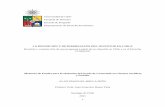 LA DEFINICIÓN Y DETERMINACIÓN DEL INVENTOR EN CHILE