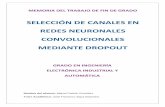 SELECCIÓN DE CANALES EN REDES NEURONALES CONVOLUCIONALES ...