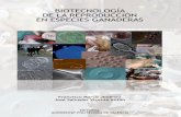 BIOTECNOLOGÍA DE LA REPRODUCCIÓN EN ESPECIES …