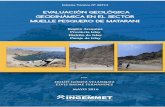 Evaluación geológica - geodinámica en el sector Muelle ...