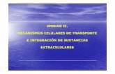 UNIDAD II. MECANISMOS CELULARES DE TRANSPORTE E ...