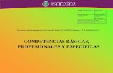 COMPETENCIAS BÁSICAS, PROFESIONALES Y ESPECÍFICAS