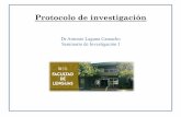 Dr Antonio Laguna Camacho Seminario de Investigación I