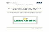La distribución comercial minorista en la Comunidad Valenciana