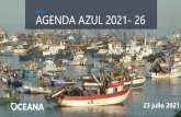 AGENDA AZUL 2021- 26