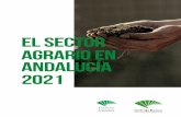 El Sector Agrario en Andalucía 2021