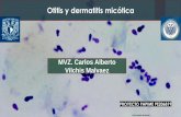 Otitis y dermatitis micótica