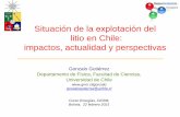 Situación de la explotación del litio en Chile: impactos ...