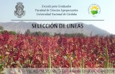 SELECCIÓN DE LINEAS - agro.unc.edu.ar