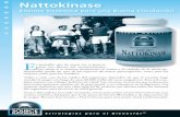 Nattokinase - Source Naturals