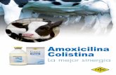 Amoxicilina Colistina - Fatro