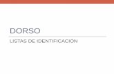 DORSO - medicina.uanl.mx