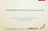 PROGRAMA NACIONAL DE Lobesia botrana