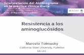 Resistencia a los aminoglucósidos - RedEMC