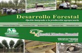 Desarrollo Forestal