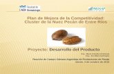 Plan de Mejora de la Competitividad: Cluster de la Nuez ...