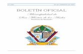 BOLETÍN OFICIAL - San Martin de los Andes