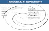 HABILIDADES PARA UN LIDERAZGO EFECTIVO - CGP Group