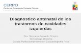 Diagnostico antenatal de los trastornos de cavidades ...