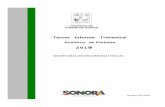 Tercer Informe Trimestral - sedesson.gob.mx