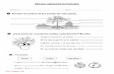 REPASO CIENCIAS NATURALES PDF Creator Trial