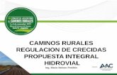 CAMINOS RURALES REGULACION DE CRECIDAS PROPUESTA INTEGRAL ...
