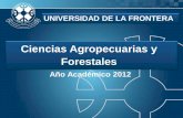 Ciencias Agropecuarias y Forestales
