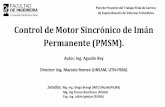 Control de Motor Sincrónico de Imán Permanente (PMSM).
