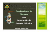 Gasificadores de Biomasa