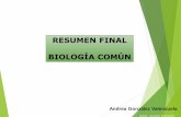 RESUMEN FINAL BIOLOGÍA COMÚN - preuniversitariotesla.cl