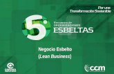 Negocio Esbelto Lean Business - Centro de Competitividad ...
