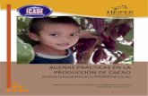 Buenas Prácticas en la Producción de Cacao