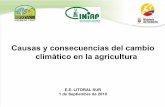 Causas y consecuencias del cambio climático en la agricultura