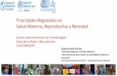 Prioridades Regionales en Salud Materna, Reproductiva y ...