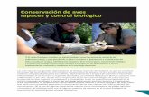 Conservación de aves rapaces y control biológico