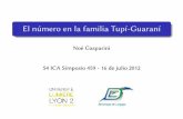 El número en la familia Tupí-Guaraní