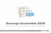 Durango sostenible 2030