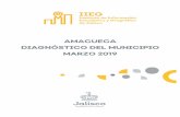AMACUECA DIAGNÓSTICO DEL MUNICIPIO MARZO 2019