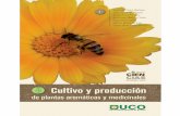 tecnología y salud Cultivo y producción