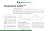 Guía de cultivo de guisante proteaginoso en Navarra