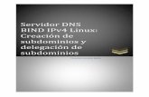 Servidor DNS BIND IPv4 Linux: Creación de subdominios y ...