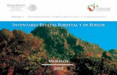 Inventario Estatal Forestal y de Suelos