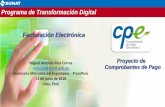 Programa de Transformación Digital Facturación Electrónica