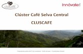 Clúster Café Selva Central CLUSCAFE
