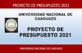 UNIVERSIDAD NACIONAL DE CAAGUAZÚ PROYECTO DE …
